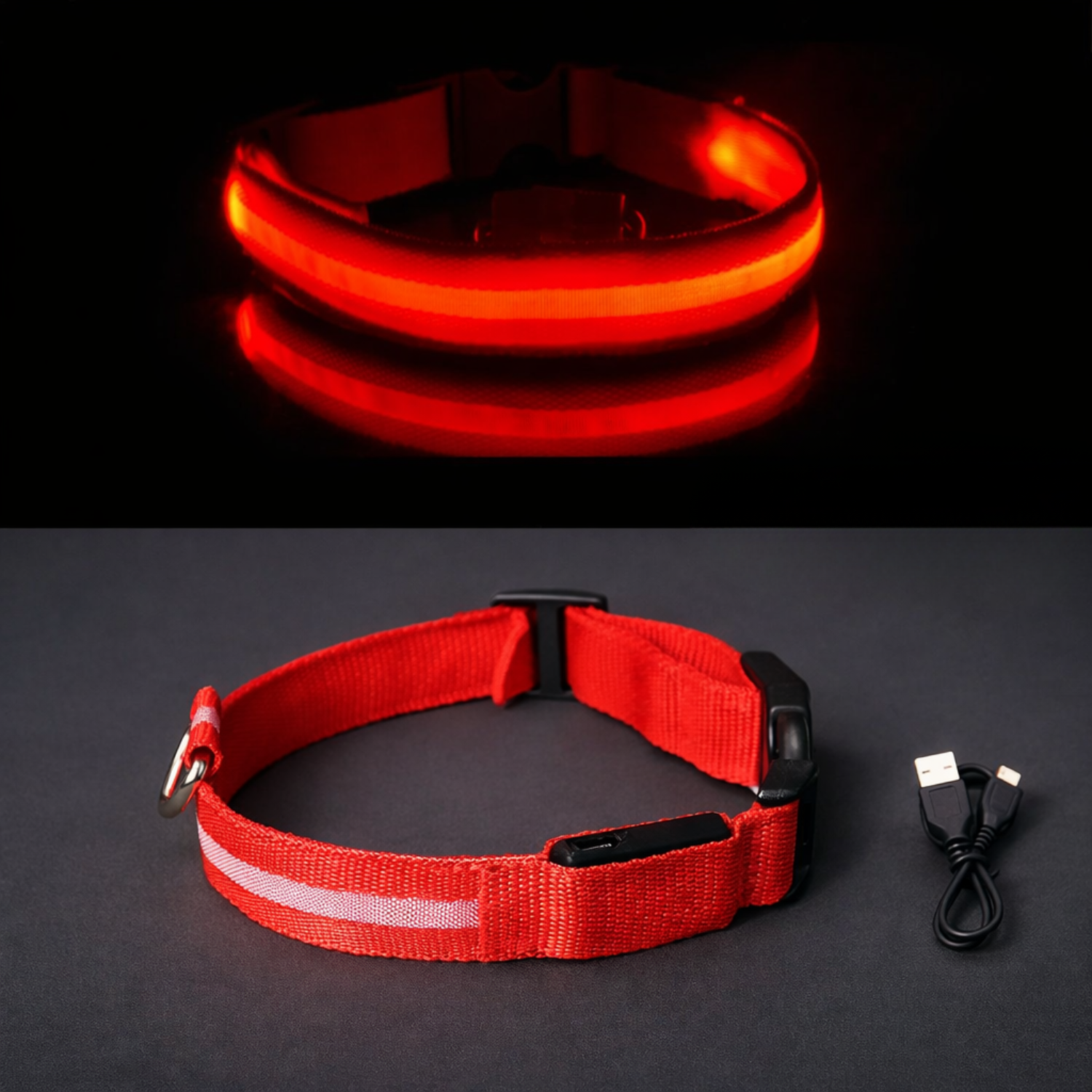 LumaPaw - LED Night Collar