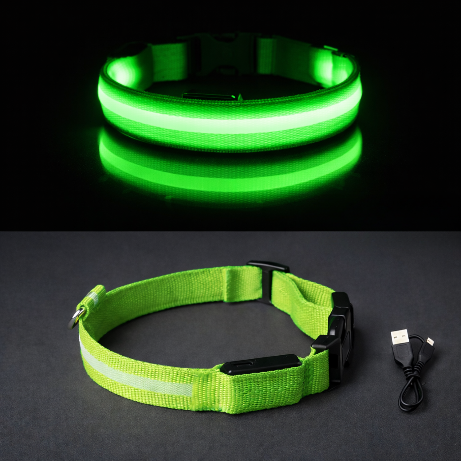 LumaPaw - LED Night Collar