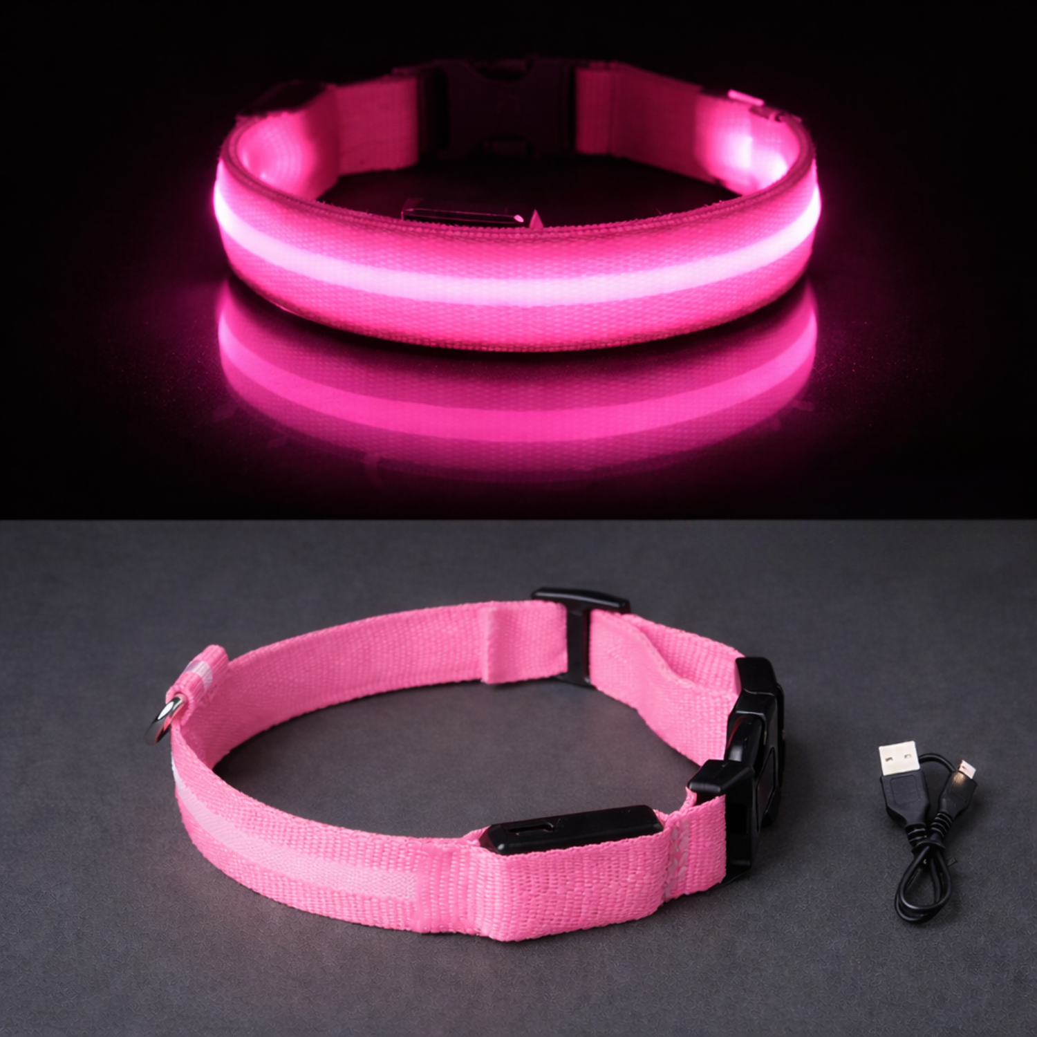 LumaPaw - LED Night Collar