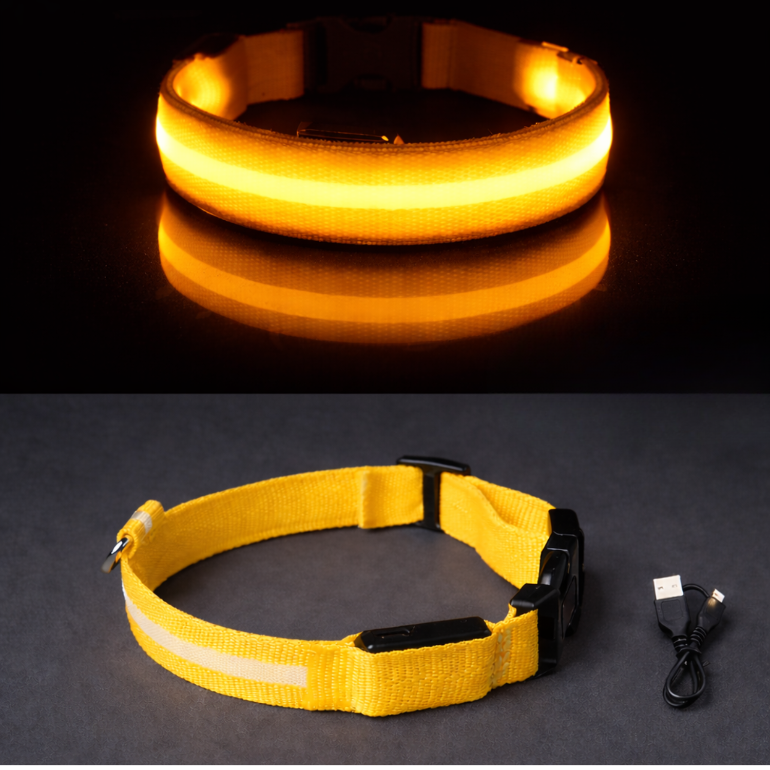 LumaPaw - LED Night Collar