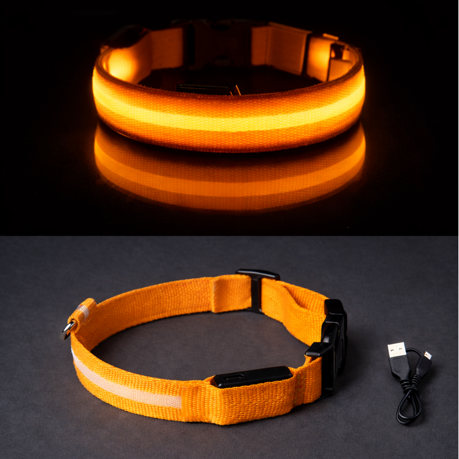 LumaPaw - LED Night Collar