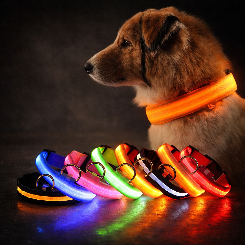 LumaPaw - LED Night Collar